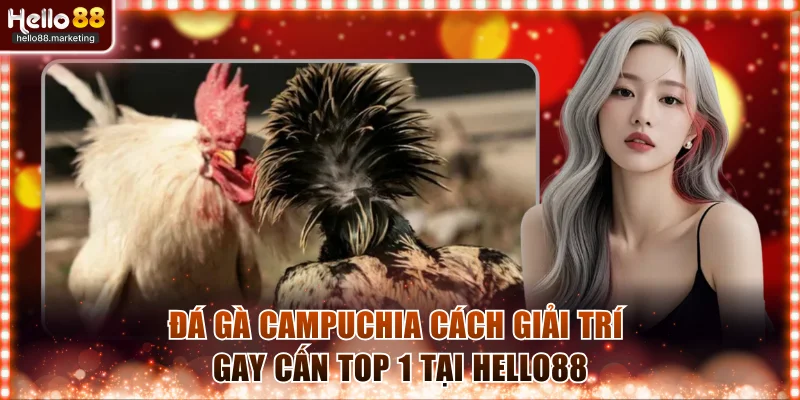 Đá gà Campuchia